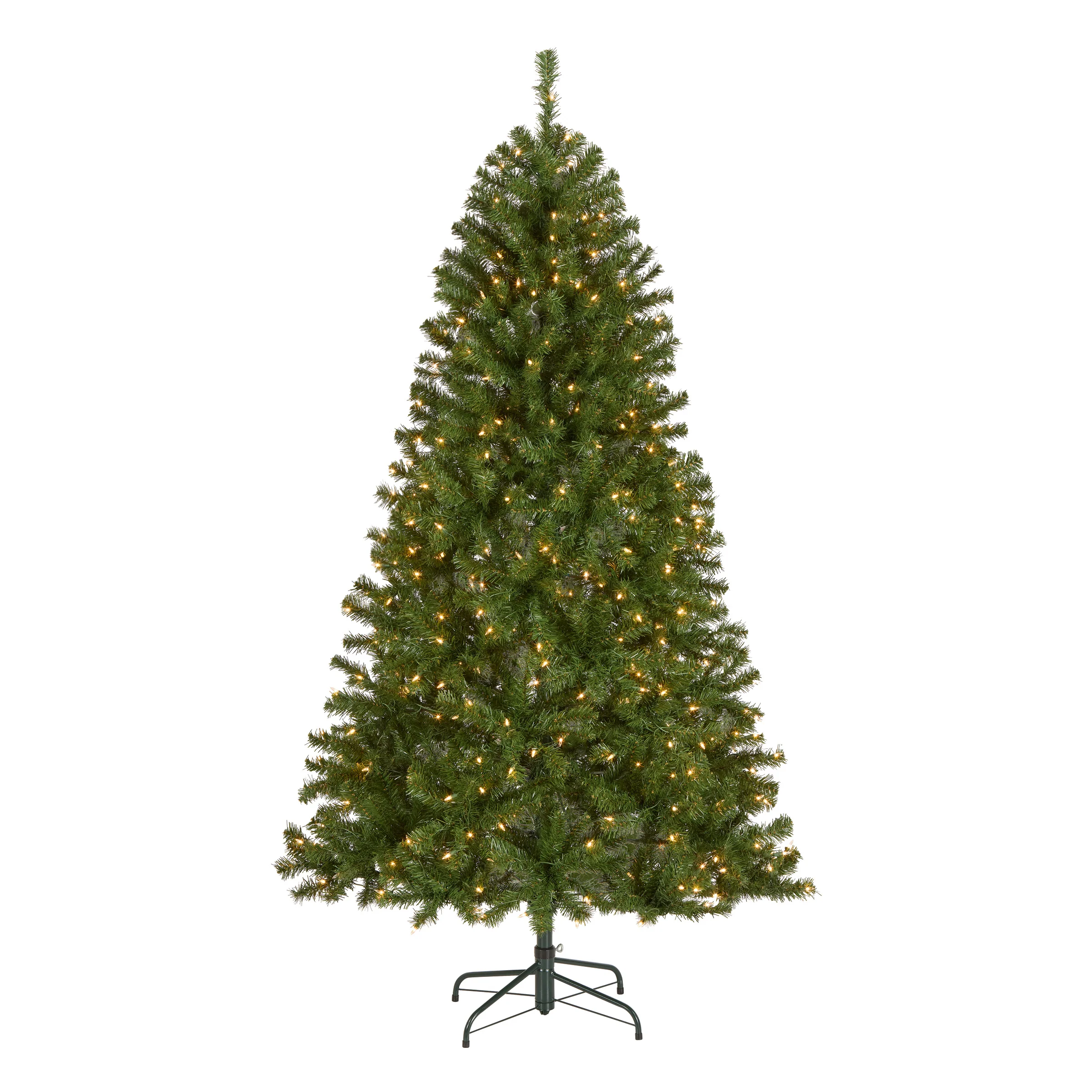 North Valley Spruce Trees - Image 3