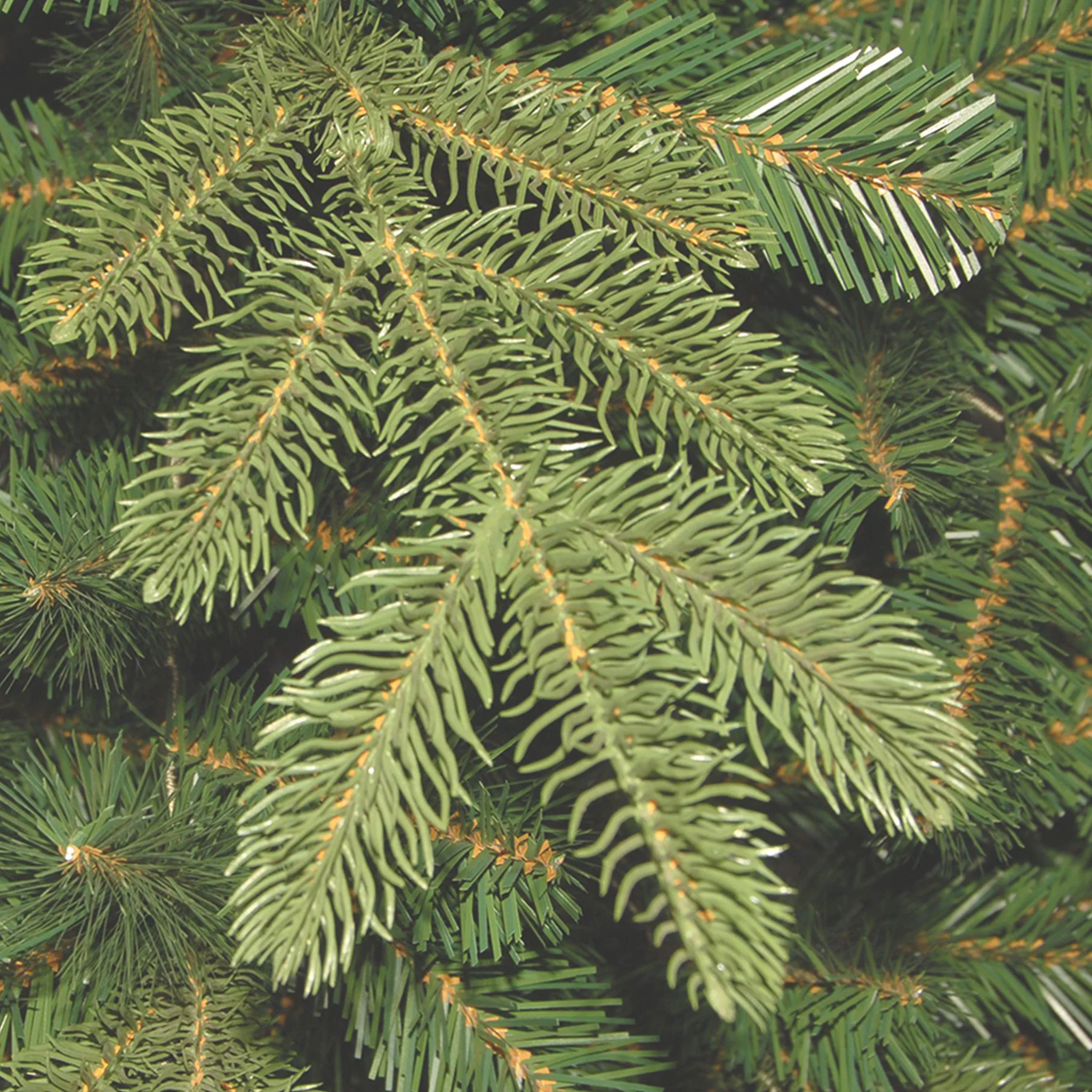 4 ft. Norwegian Spruce Entrance Tree with Clear Lights, Plug-In - Image 3