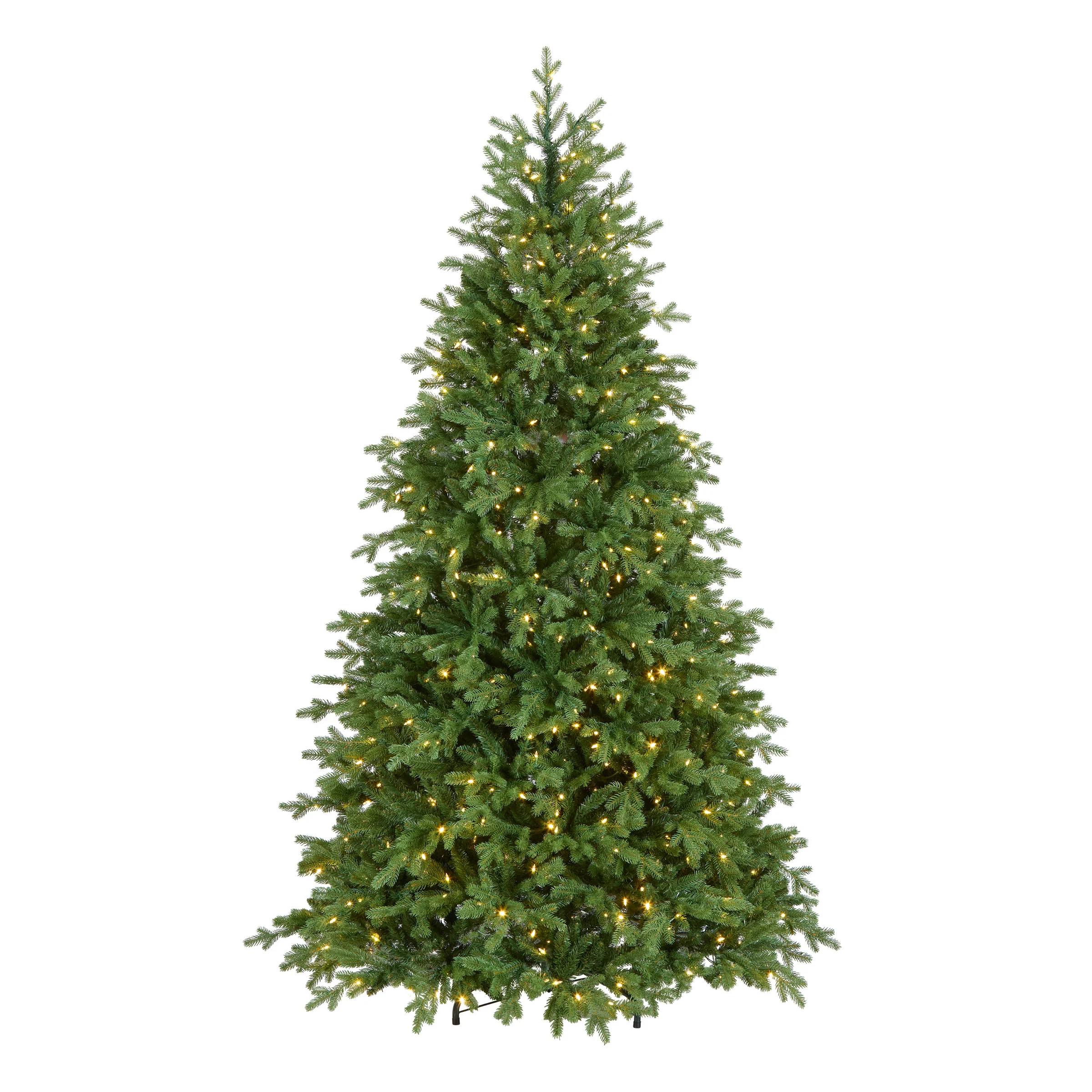 Princeton Fir Trees - Image 2