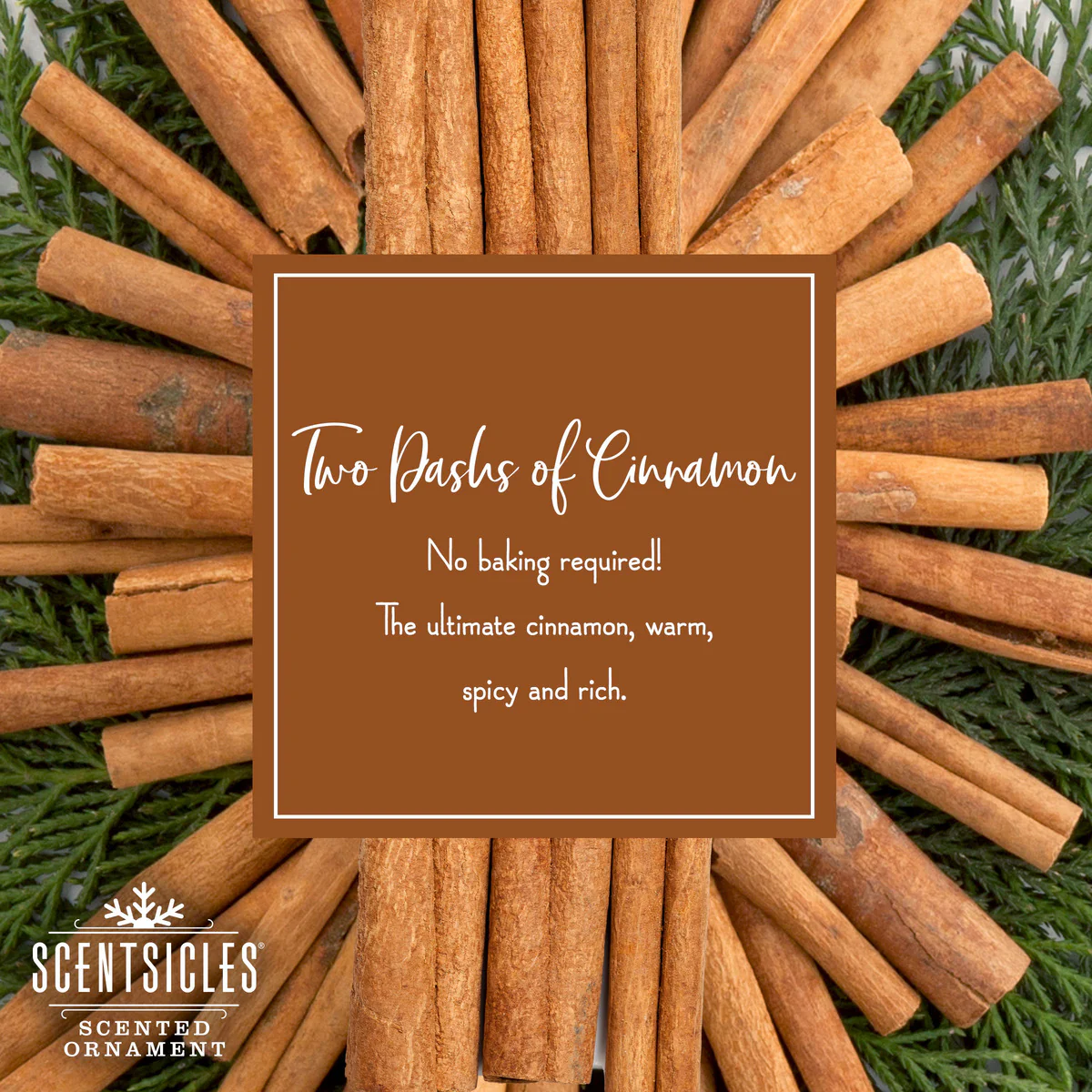 Scented Ornaments, 2-Pack- 6ct Bottle, 2 Dashes of Cinnamon, Fragrance-Infused Paper Sticks - Image 4