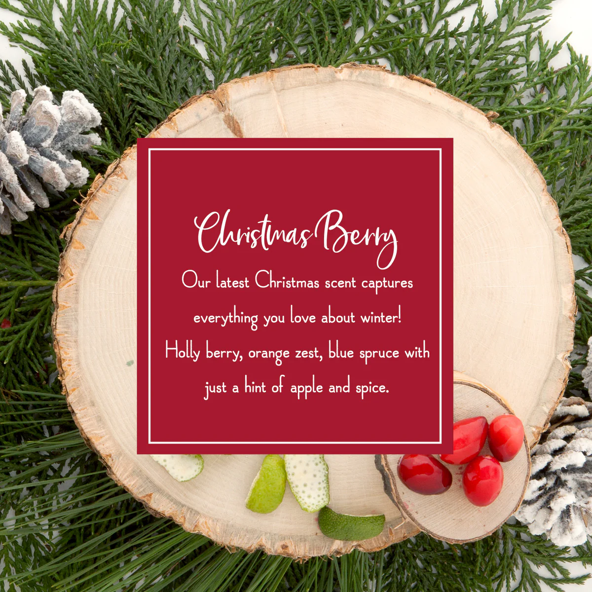 Scented Ornaments, 2-Pack- 6ct Bottle, Christmas Berry, Fragrance-Infused Paper Sticks - Image 4