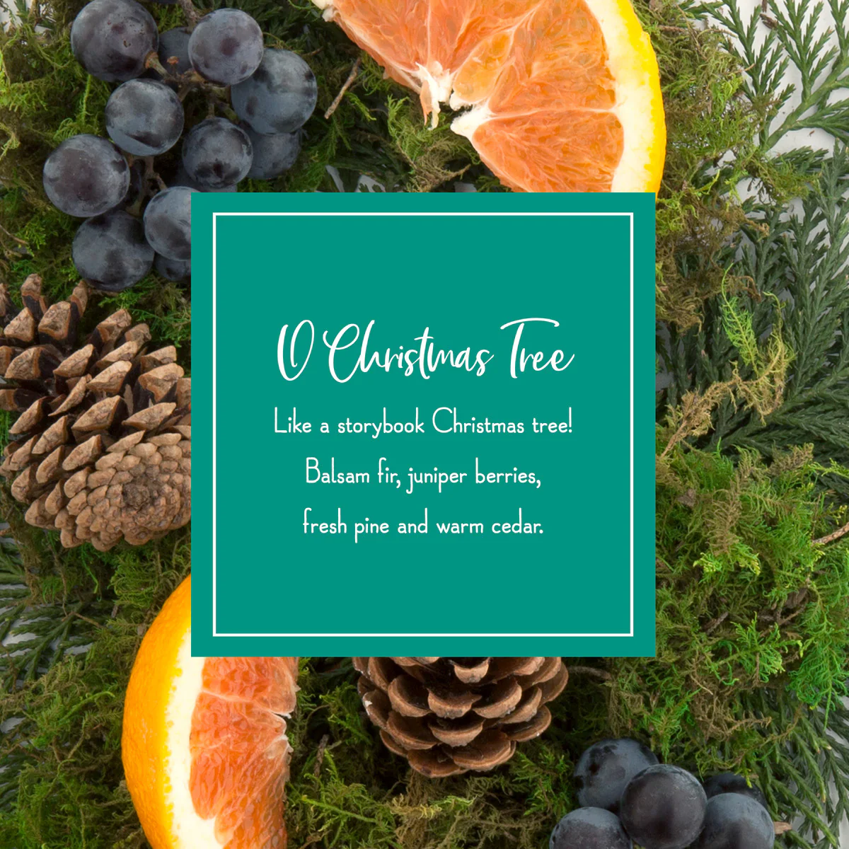 Scented Ornaments, 2- Pack- 6ct Bottle, O Christmas Tree, Fragrance-Infused Paper Sticks - Image 4