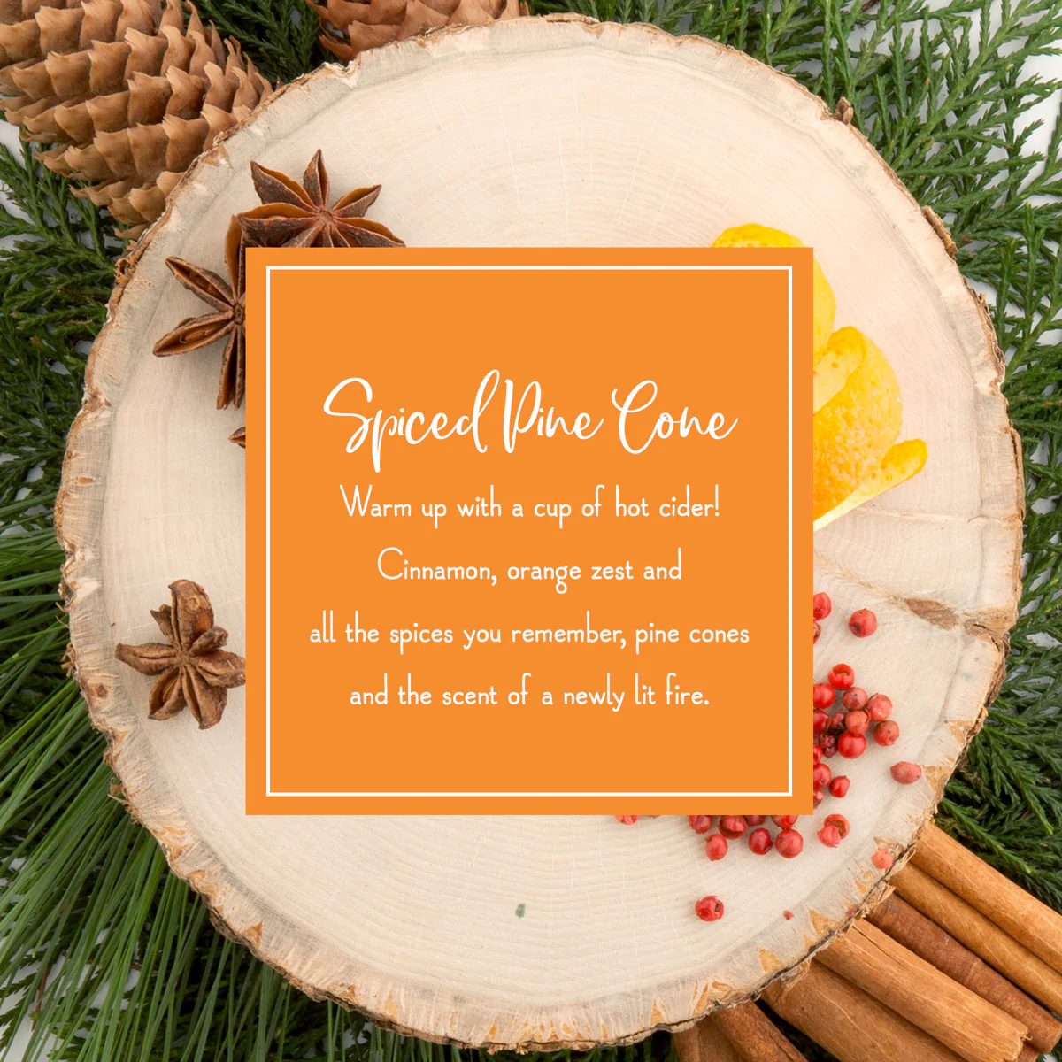 Scented Ornaments, 2-Pack-  6ct Bottle, Spiced Pine Cones, Fragrance-Infused Paper Sticks - Image 4