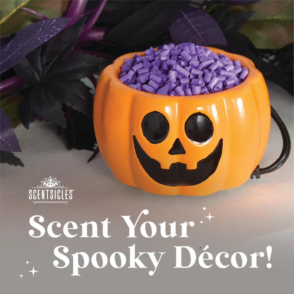 Scentiscles, Pumpkin Warmer/ Scentfetti Witch's Berry Brew & Pumpkin 'n Cider- 3 pack - Image 6