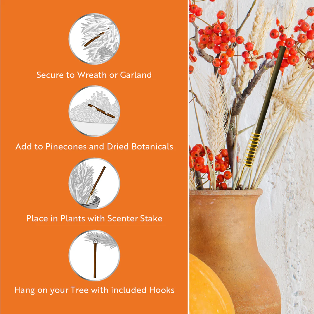 Scentsicles, 6pc Stick, 1 Autumn 'n Apples/ 1 Pumpkin 'n Cider/ 1 Two Dashes of Cinnamon 3 pack - Image 4