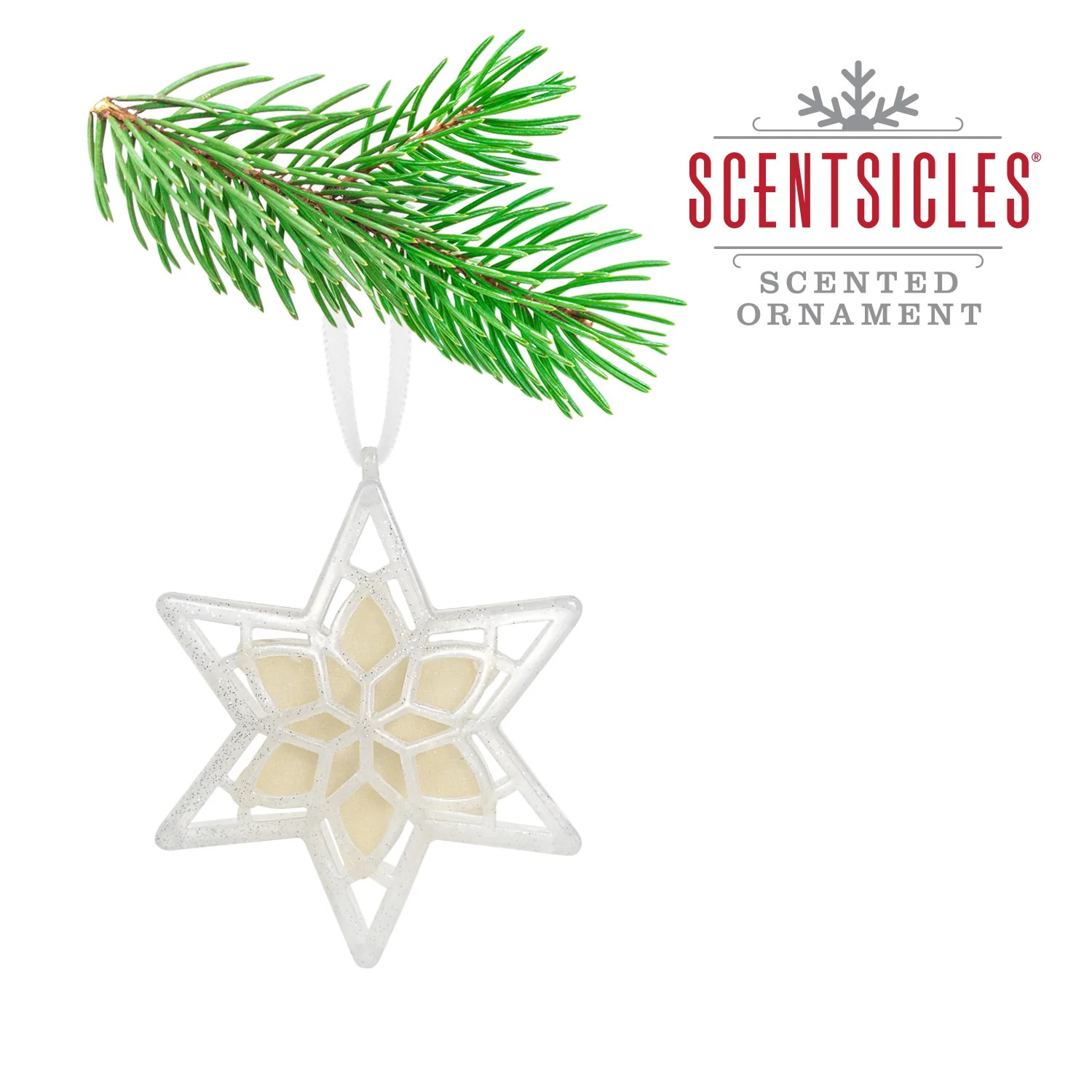 Scentsicles, Scented Star Ornament, White Winter Fir, 2-Pack - Image 9